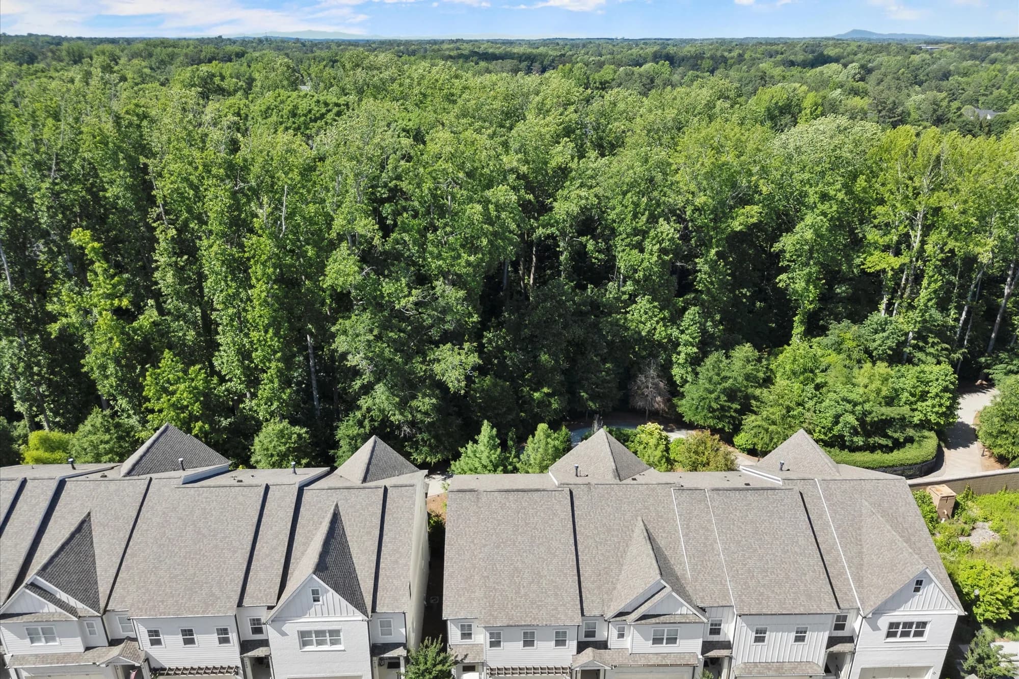 Aerial view of the townhome community and surrounding tree canopy.